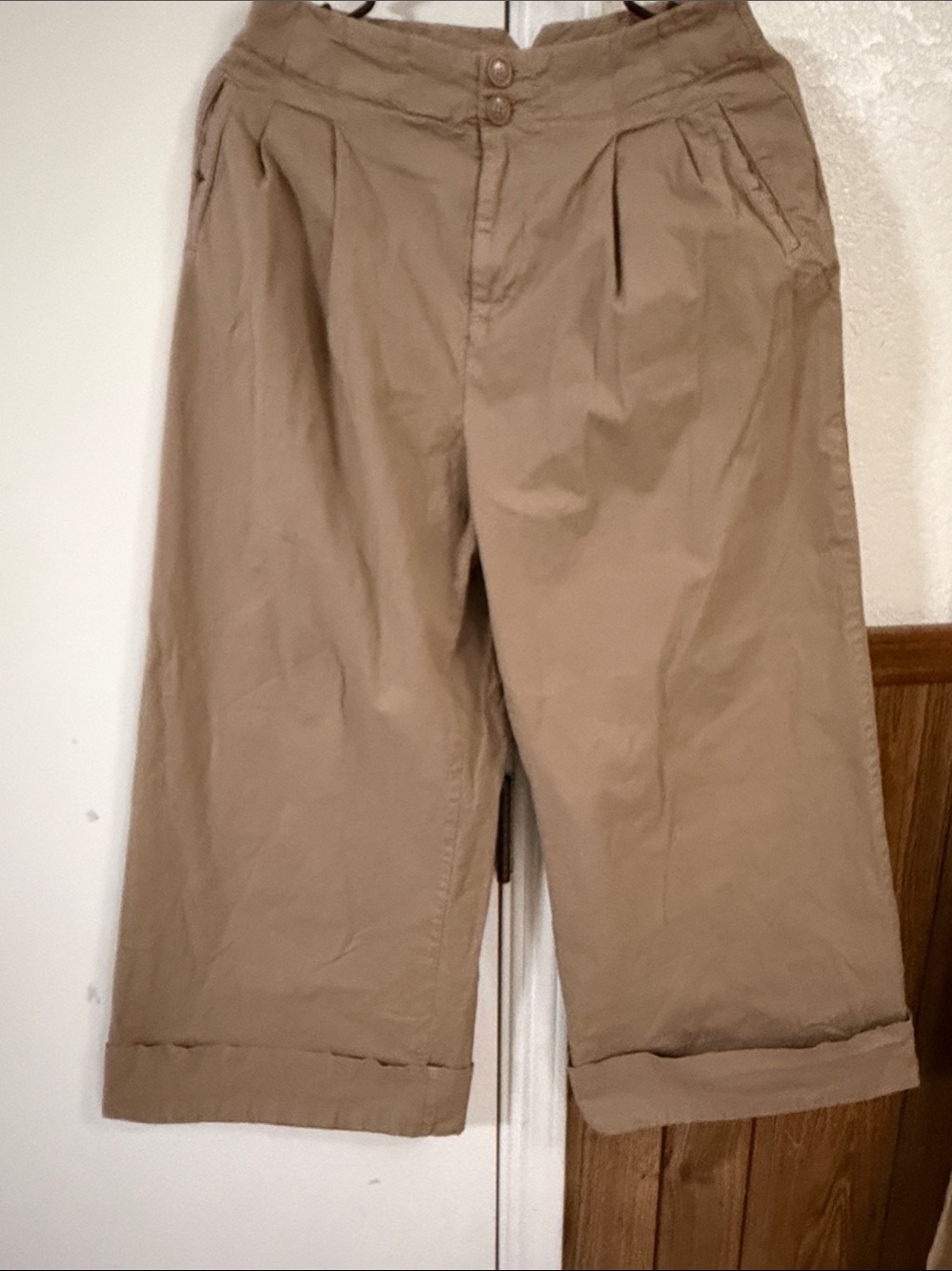 Anthropologie Maeve Cropped Wide-Leg trouser high rise pleated Pants size 2